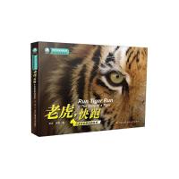 老虎,快跑 9787304072070 正版 安生 安澜 著 中央广播电视大学出版社