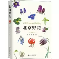 北京野花 9787301302125 正版 杨斧,杨菁 北京大学出版社