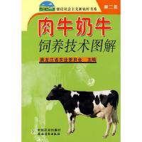肉牛奶牛饲养技术图解/建设社会主义新农村书系第二批 9787109114449 正版 黑龙江省农业委员会 主编 中国农