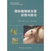 潮湿建筑-问题成因与治理对策 9787112177035 正版 董祖林 等编著 中国建筑工业出版社