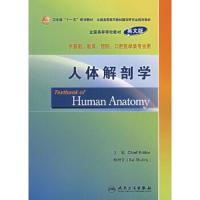 人体解剖学 9787117089210 正版 柏树令 人民卫生出版社