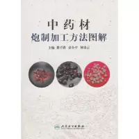 中药材炮制加工方法图解 9787117136662 正版 人民卫生出版社