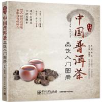 中国普洱茶 品饮入门图册 9787121252723 正版 陈龙 主编 电子工业出版社