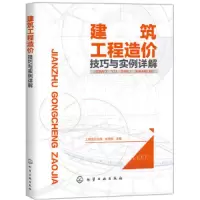 建筑工程造价技巧与实例详解 9787122313379 正版 工程造价员网,张国栋 主编 化学工业出版社