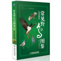 常见野鸟图鉴 北京地区 9787111438168 正版 自然之友,野鸟会 编 机械工业出版社