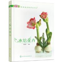 水培花卉 9787122313669 正版 徐帮学 等编 化学工业出版社