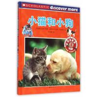 小猫和小狗 9787530761779 正版 新蕾出版社