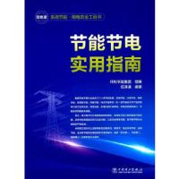 节能节电实用指南 9787519808518 正版 祥和节能集团 组编 伍泽涌 中国电力出版社