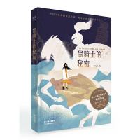 黑骑士的秘密 9787548933939 正版 邹凡凡,果麦文化 出品 云南美术出版社