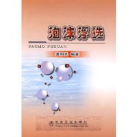 泡沫浮选 9787502443597 正版 龚明光 冶金工业出版社