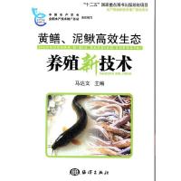 黄鳝、泥鳅高效生态养殖新技术 9787502779016 正版 马达文 海洋出版社