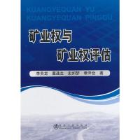 矿业权与矿业权评估 9787502465940 正版 李英龙 等著 冶金工业出版社