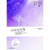 许我向你看 9787505428454 正版 辛夷坞 著 朝华