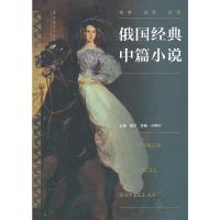 俄国经典中篇小说 9787503952968 正版 盛宁 主编,冯季庆 选编 文化艺术出版社