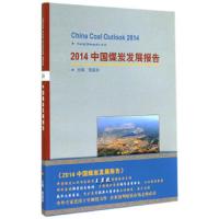 2014中国煤炭发展报告 9787502046736 正版 黄盛初 煤炭工业