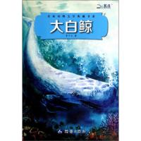 大白鲸 9787503030857 正版 李子玉 测绘出版社