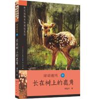 呦呦鹿鸣(中长在树上的鹿角)/野生动物世界探险系列 9787501606849 正版 刘先平 天天出版社有限责任公司