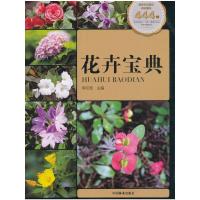 花卉宝典 9787503887468 正版 李印普 著 中国林业出版社