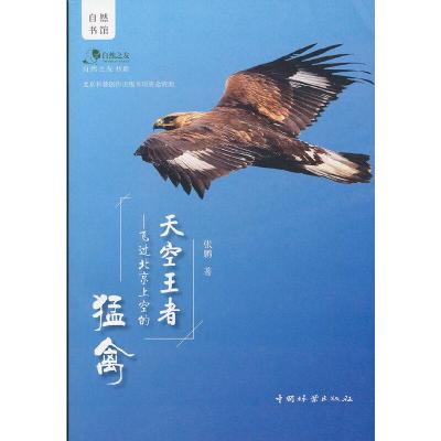 天空王者 飞过北京上空的猛禽 9787503899959 正版 张鹏 中国林业出版社