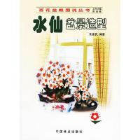 水仙盆景造型/百花盆栽图说系列 9787503836763 正版 朱振民 编著 中国林业出版社