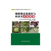 猕猴桃高效栽培与病虫害识别图谱 9787511620477 正版 齐秀娟 等编著 中国农业科学技术出版社
