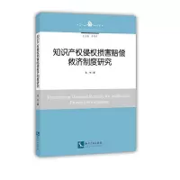 知识产权侵权损害赔偿救济制度研究 9787513056571 正版 朱冬 知识产权出版社