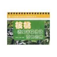 农作物病虫害田间诊断技术丛书 核桃病虫害及防治原色图册 9787508253978 正版 张炳炎 编著 金盾出版社