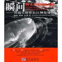 瞬间——用镜头留住长江濒危动物 9787030222893 正版 高宝燕,张先锋,王小强 著 科学出版社