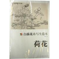 白描花卉写生范本·荷花 9787102053509 正版 陈再乾 人民美术出版社