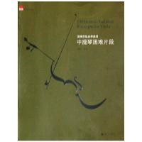 交响乐队必考曲目 中提琴困难片段 9787549538522 正版 魏震 编 广西师范大学出版社
