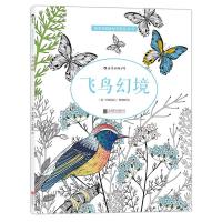 飞鸟幻境 9787550245280 正版 (英)伊丽莎白詹姆斯(Elizabeth James) 北京联合出版公司