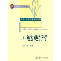中级宏观经济学 9787301100240 正版 张延 编著 北京大学出版社