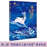 沐恩奇遇记 9787501614264 正版 朱欢 天天出版社有限责任公司