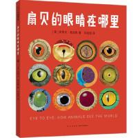 扇贝的 眼睛在哪里 9787513327749 正版 (美)史蒂夫·詹金斯 新星出版社
