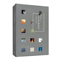 以文学的名义 9787567576599 正版 薛忆沩 华东师范大学出版社