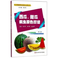 西瓜.甜瓜病虫原色图谱 9787534151064 正版 郑永利","吴华新","孟幼青 浙江科学技术出版社