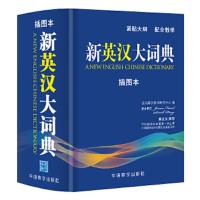 新英汉大字典 9787513815161 正版 说词解字辞书研究中心 华语教学出版社