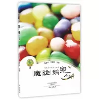 魔法鹅卵石 9787551011402 正版 马国兴,王彦艳 主编 文心出版社