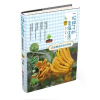 一粒种子的幸福生活(在家种出补益中草药) 9787555222675 正版 彭春生 石*钦 青岛出版社