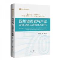 四川省页岩气产业发展战略与政策体系研究 9787518335718 正版 陈怡男