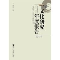 文化研究年度报告-2013 9787509771501 正版 陶东风 社会科学文献出版社