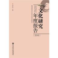 文化研究年度报告 9787520122313 正版 陶东风 社会科学文献出版社