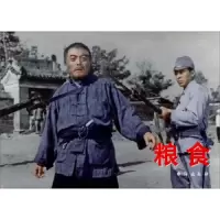 粮食 9787516803257 正版 赵刚 台海出版社