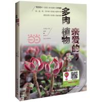多肉 9787518401918 正版 百花仙子园 编著 中国轻工业出版社