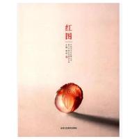 红图-黄文中南红玛瑙创作集 9787514005967 正版 博观 北京工艺美术出版社