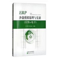 ERP沙盘模拟原理与实训实物+电子 9787514188110 正版 吴鹤 经济科学出版社