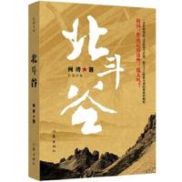 北斗谷 9787506373340 正版 作家出版社