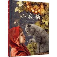 小夜猫 9787514844115 正版 [德]索尼娅达诺夫斯基著绘,孙莉莉 中国少年儿童出版社