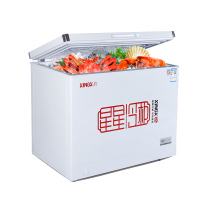 星星（XINGX）BD/BC-210SA -40度深冷低温冰柜商用冷冻冷藏柜 微霜节能单温顶开门冷柜雪柜