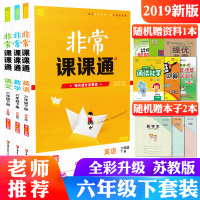 2019新版通城学典非常课课通六年级下册三本套装语文数学苏教版英语译林6年级书下册同步教材讲解练习辅导资料书江苏专用